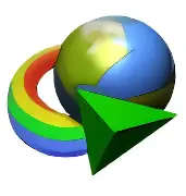 IDM Logo